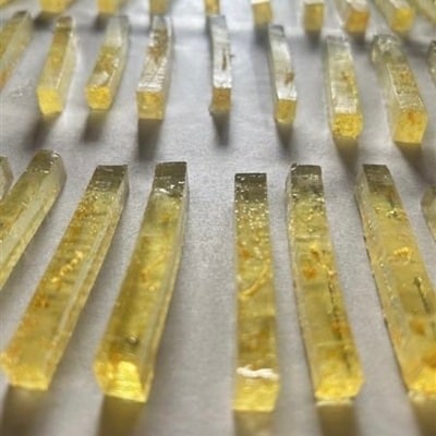 【シエスタハコダテ】4月26日(日)出店「coneru」