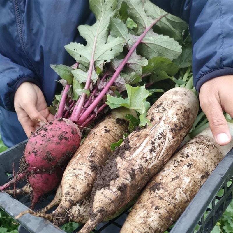 046870-20251206-99-04