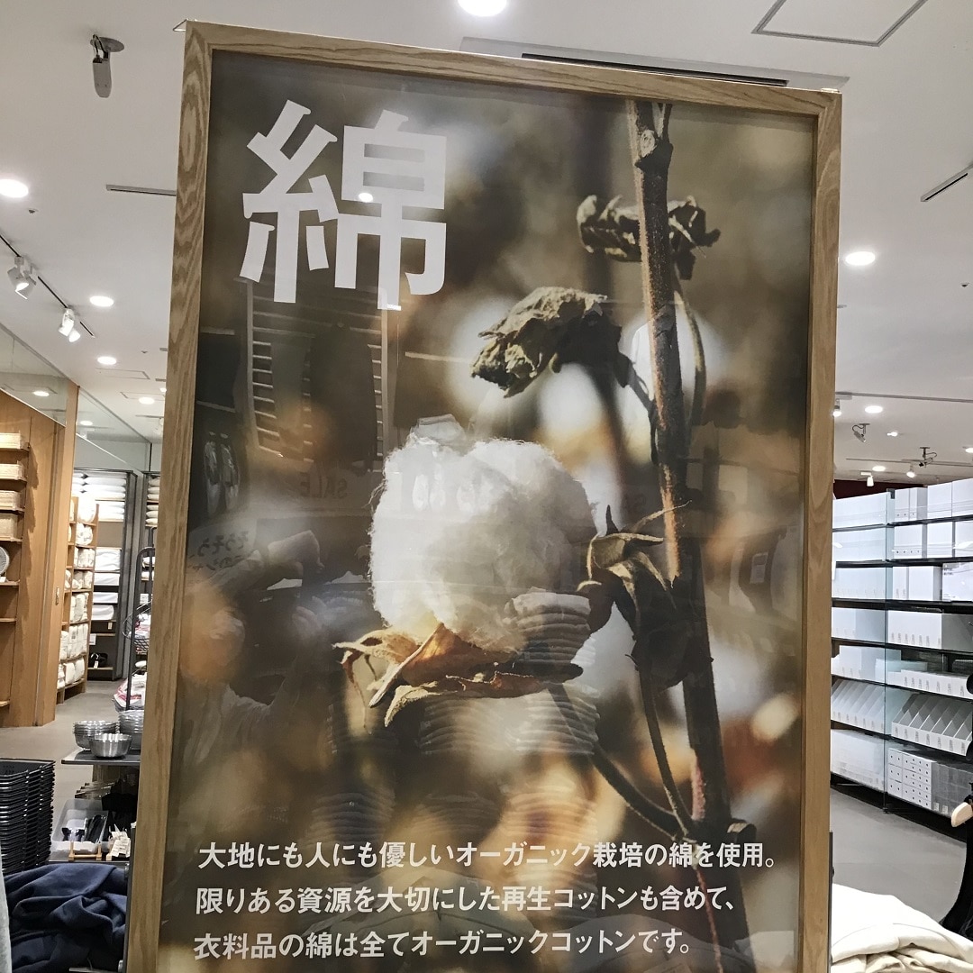 【フェアモール福井】綿ポスター