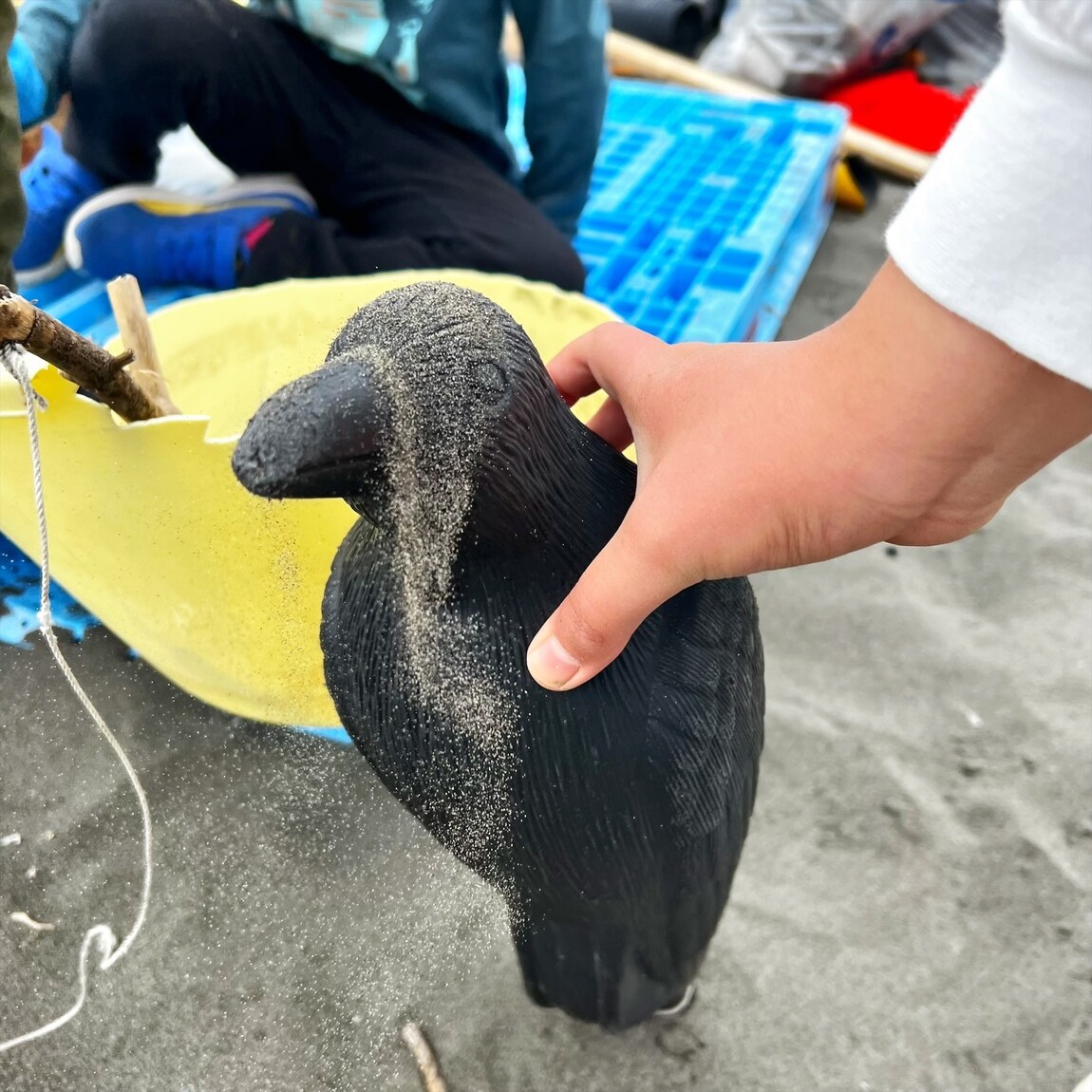 海におちていたダミーカラス
