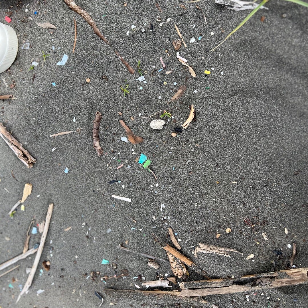 ビーチに落ちていた細かなプラスチックごみ