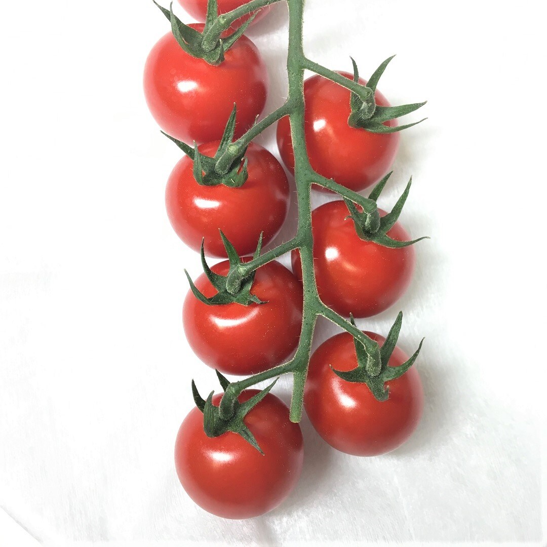 tomato