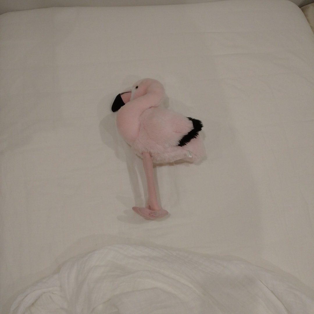 【イオンモール羽生】子供暑くてふとんをはぐ