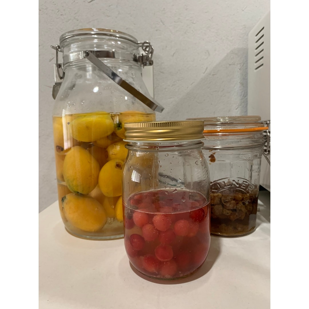 いろんな酵母を作ってみた