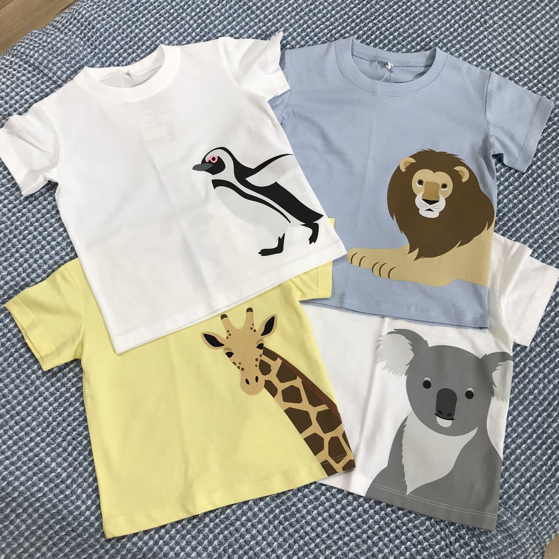 ペンギン、ライオン、キリン、コアラ