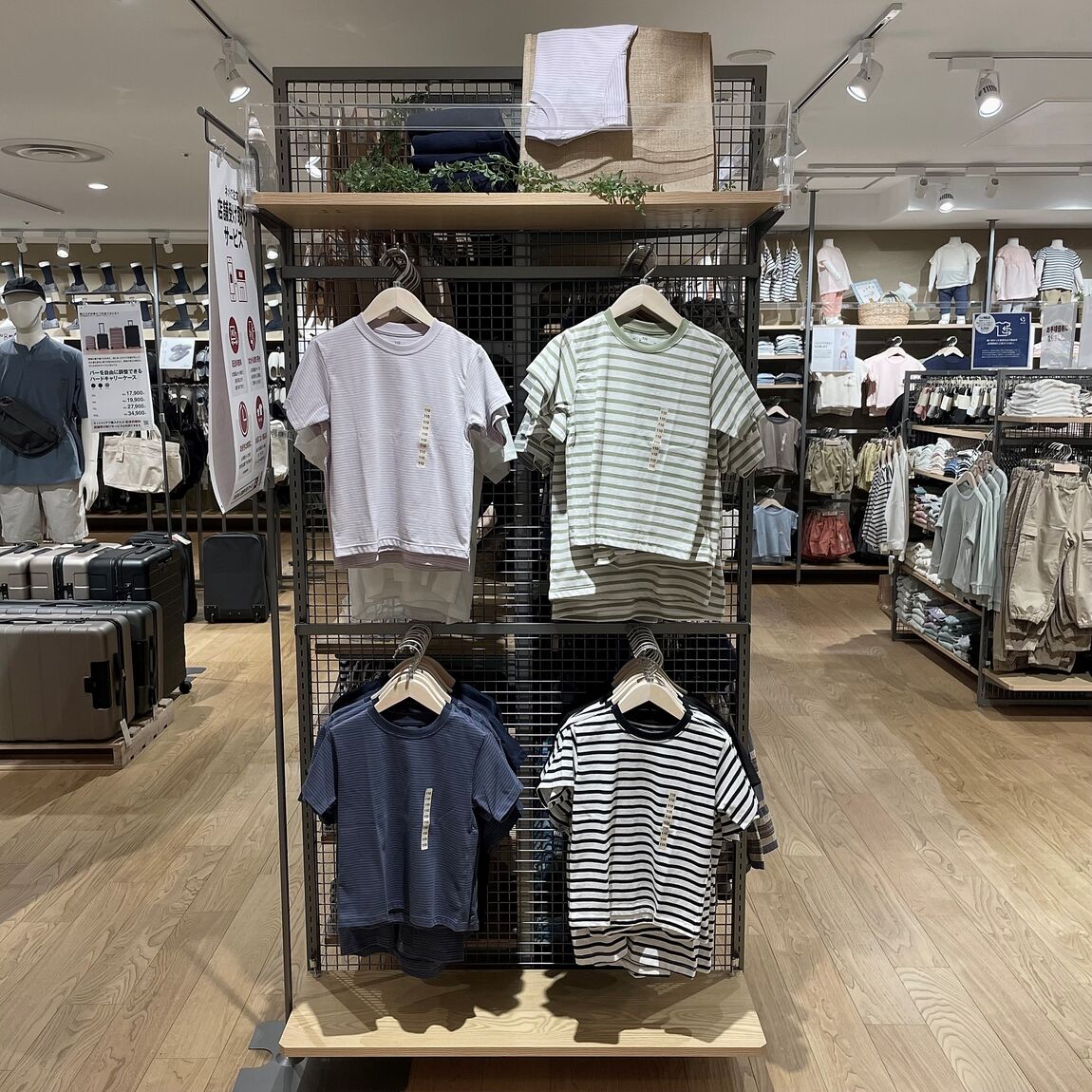 天竺編みクルーネック半袖Tシャツ