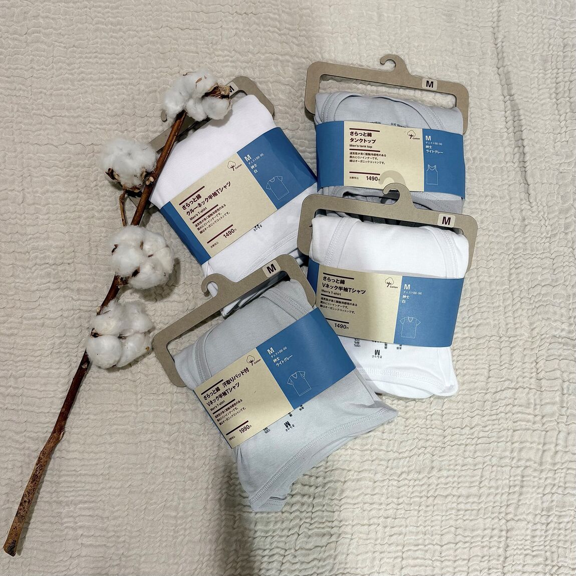 さらっと綿紳士