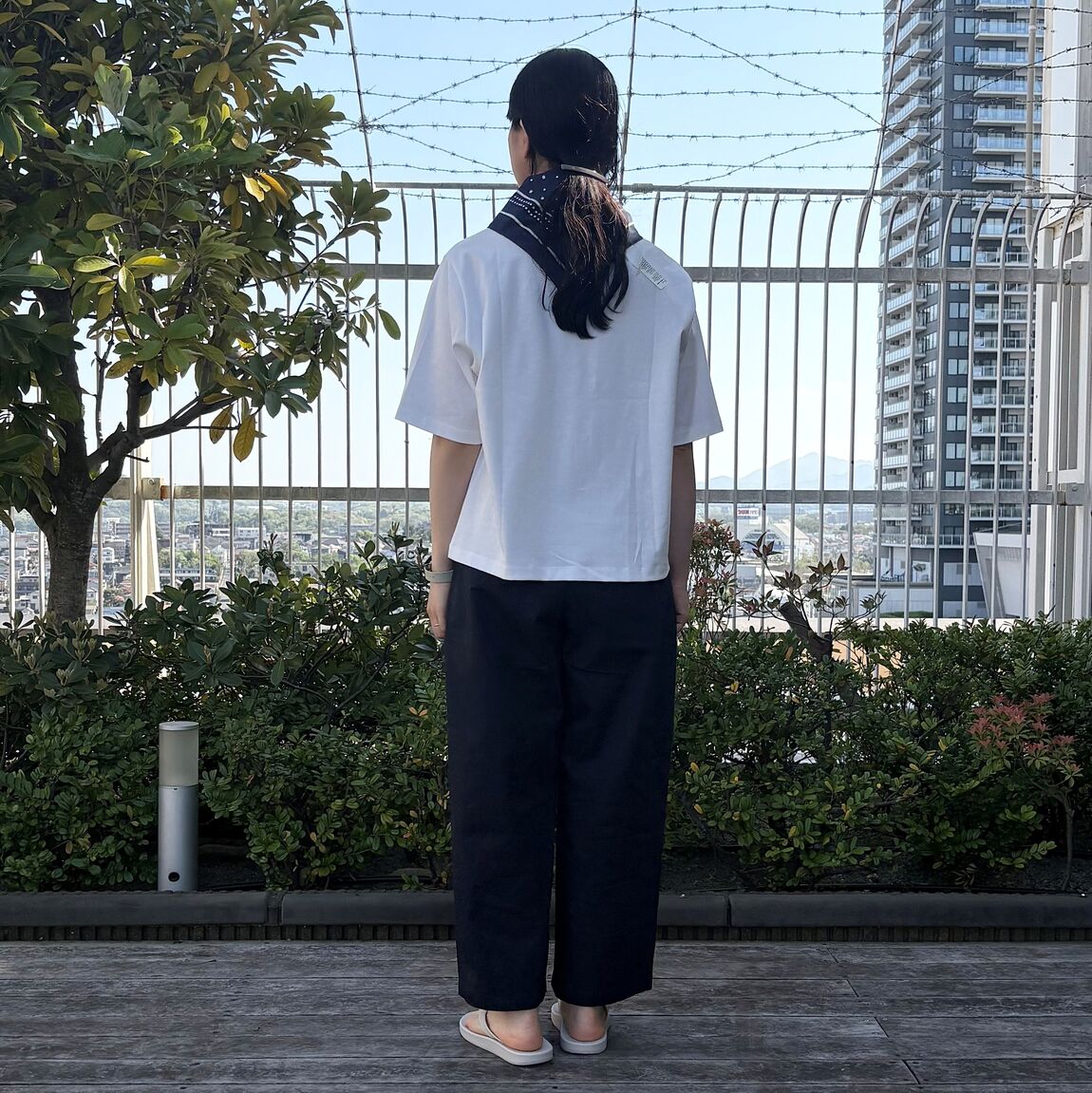 Tシャツ