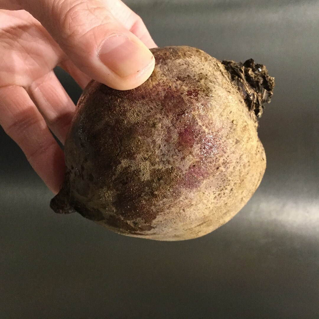 ほうれん草とビーツのサラダ｜季節のデリ