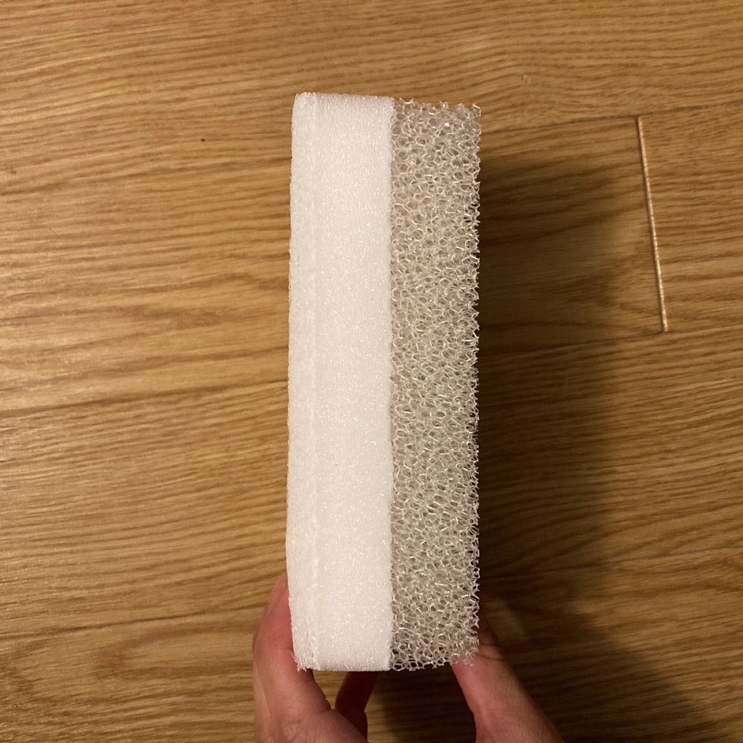 バススポンジ