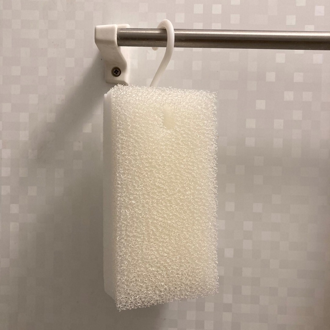 バススポンジ