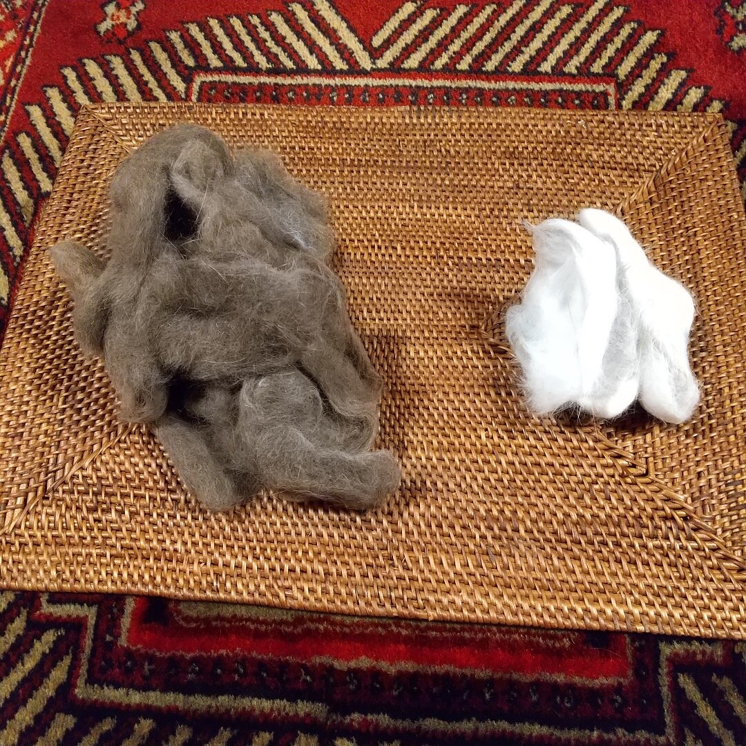 ネコの毛
