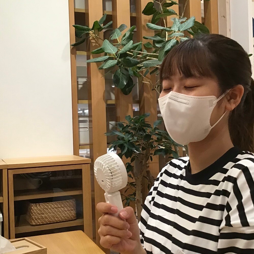 ハンディファン