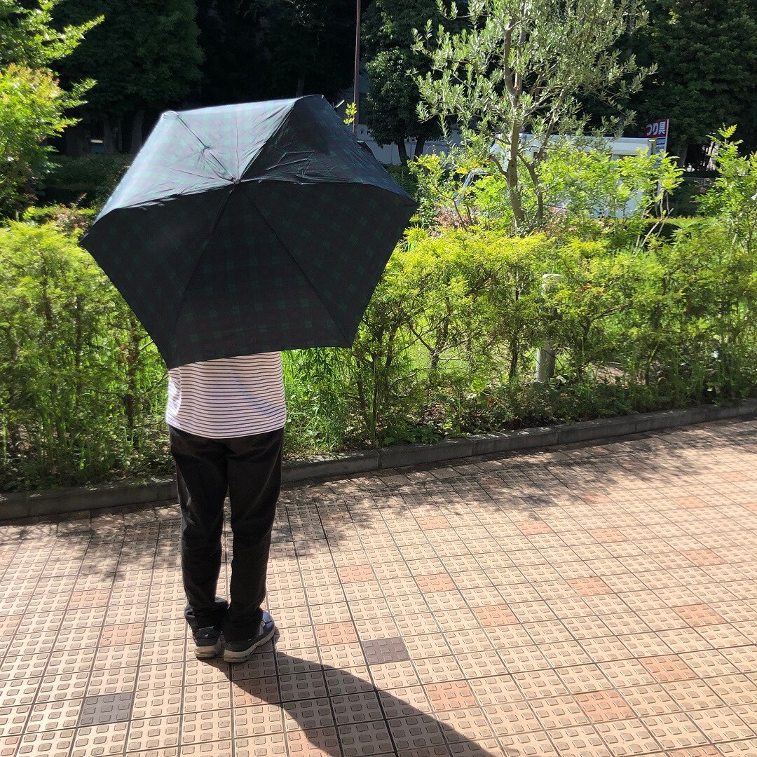 小田原の季節の鮮魚の写真