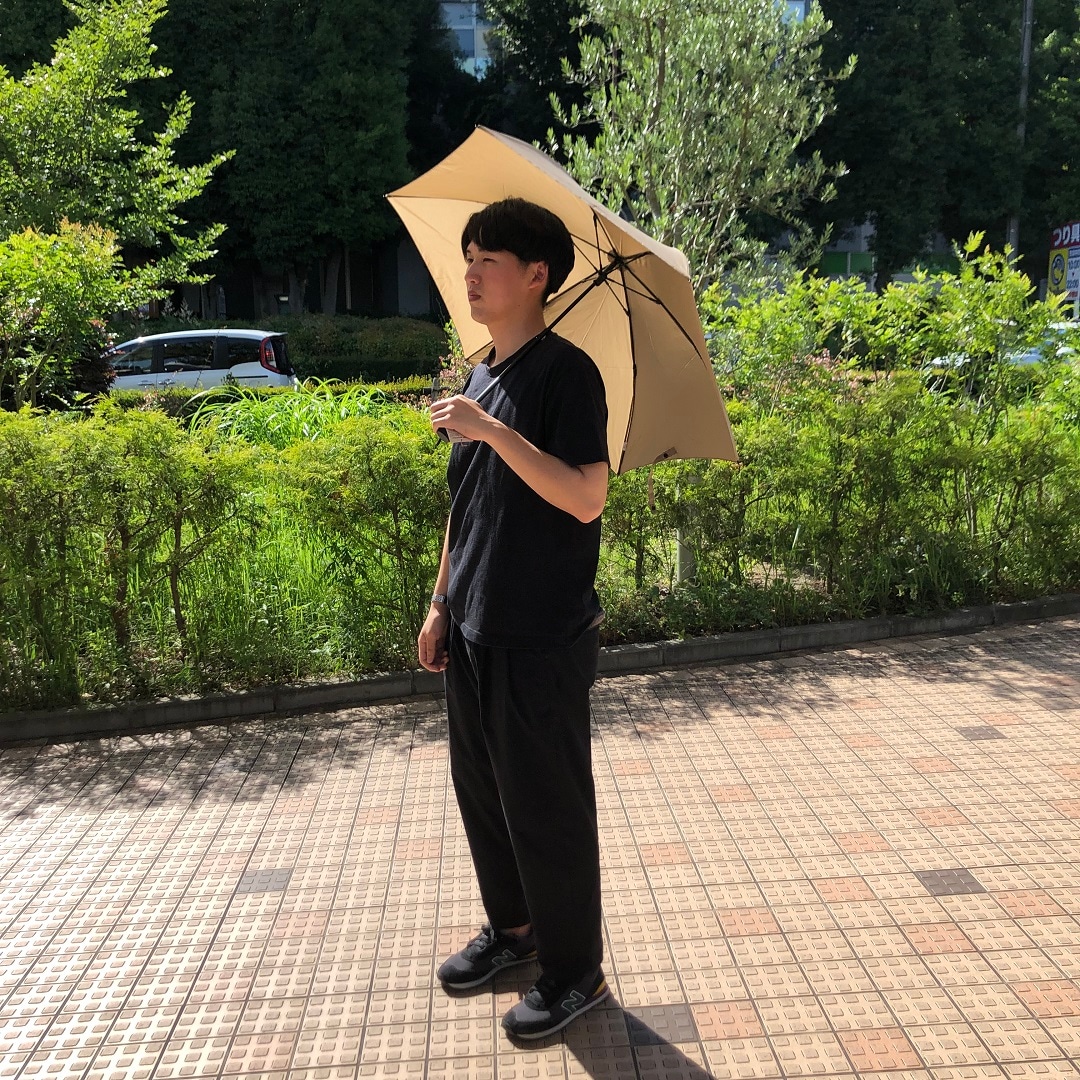 小田原の季節の鮮魚の写真