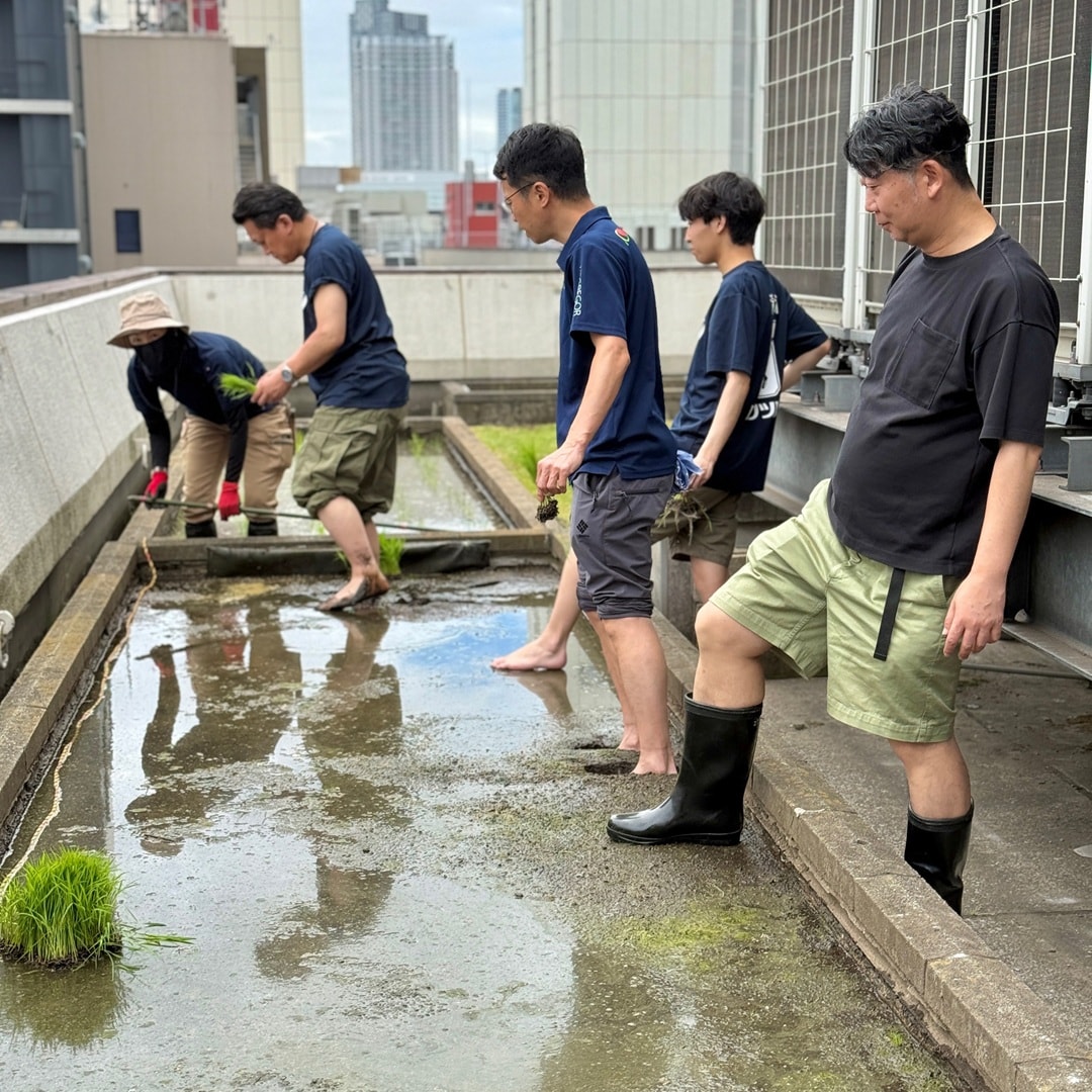【銀座】銀座で田植え