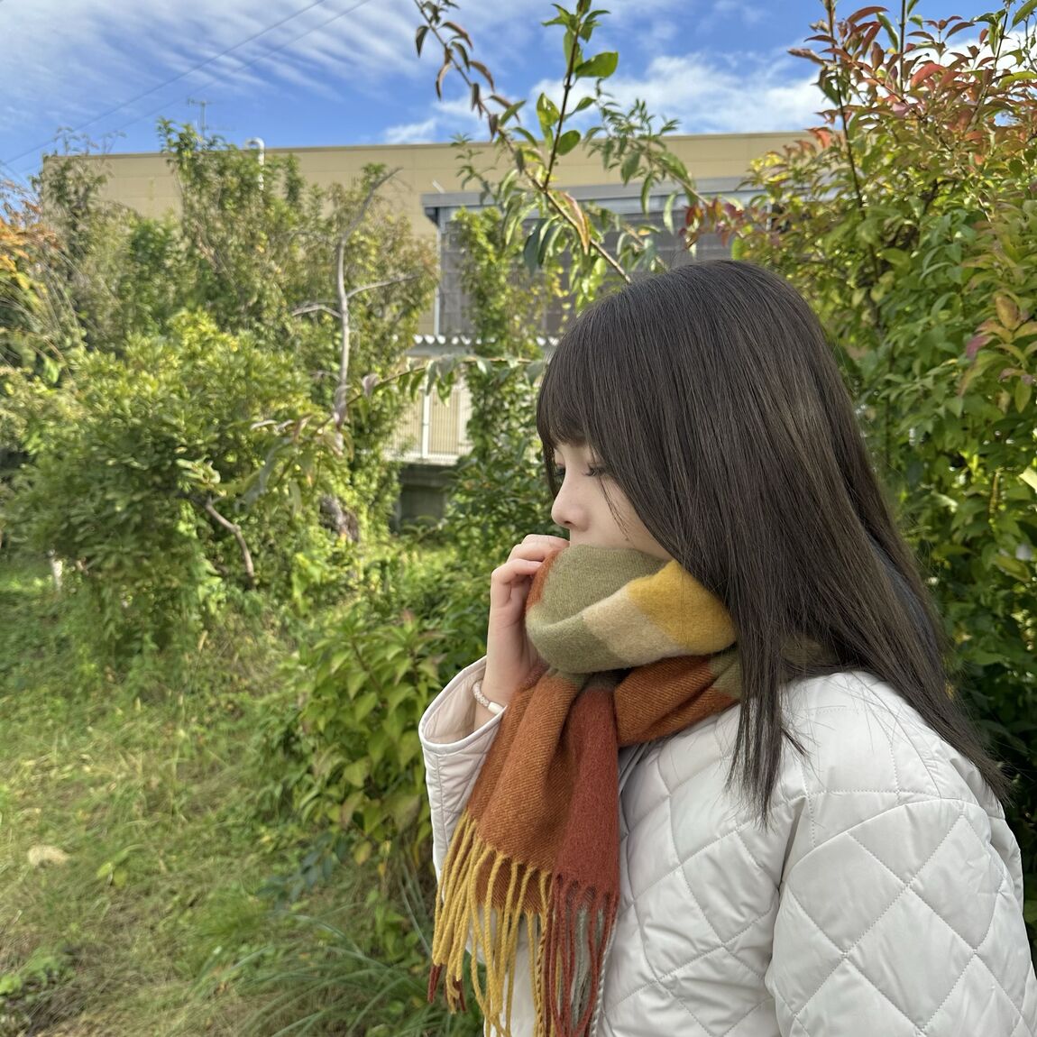 マフラー