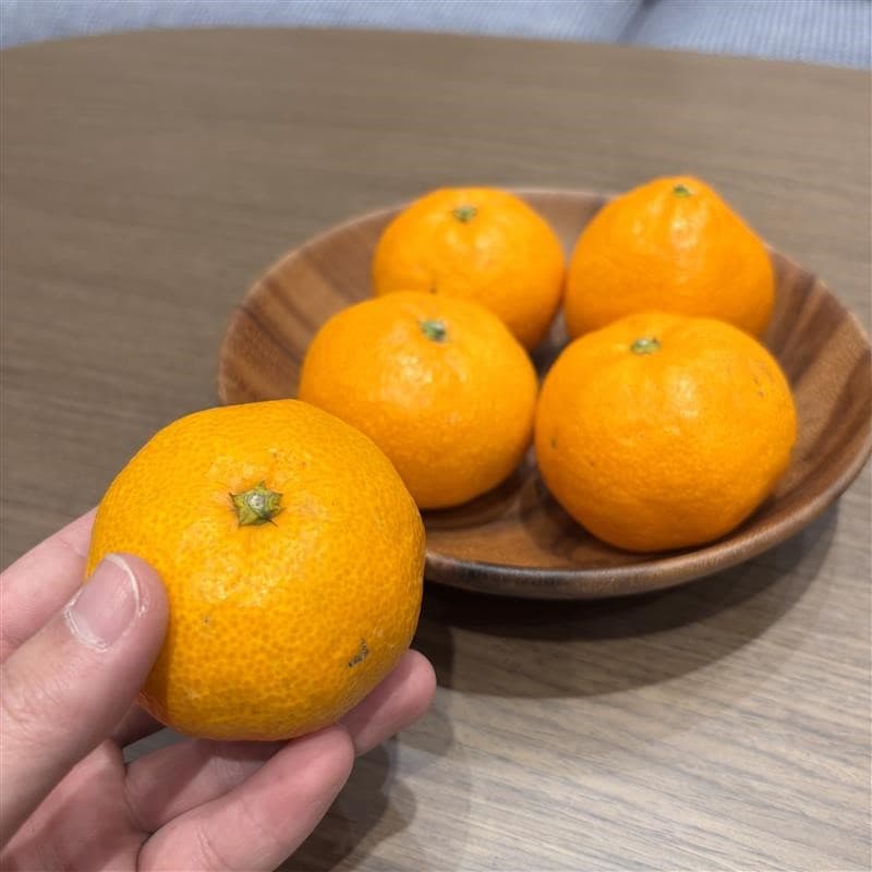 46839_20251218_02_00