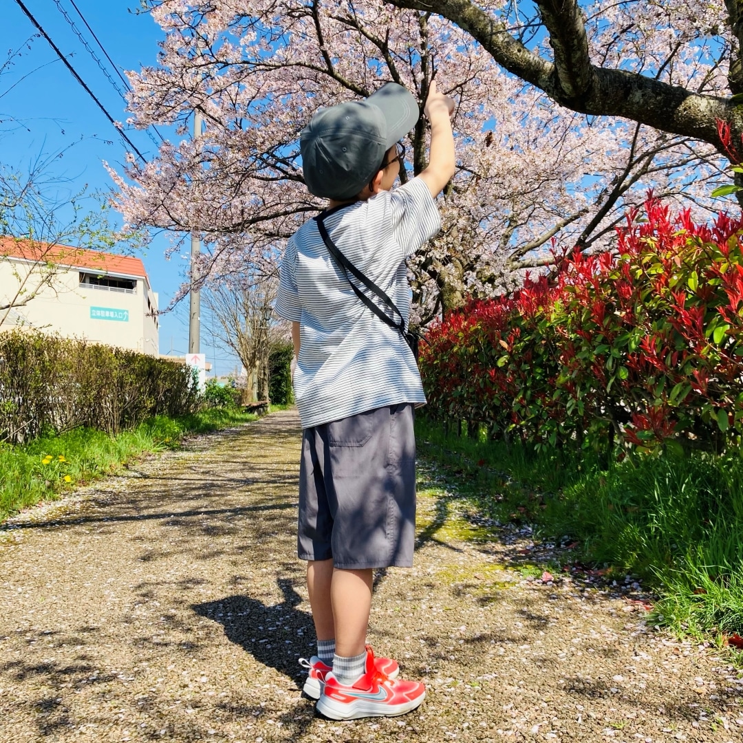 後ろ向きの写真