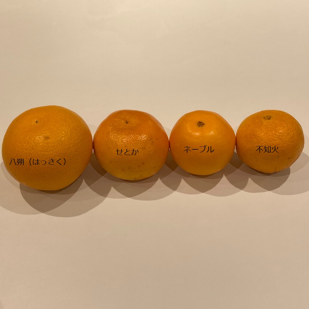 【イオンモール広島府中】今月のお野菜・果物便り