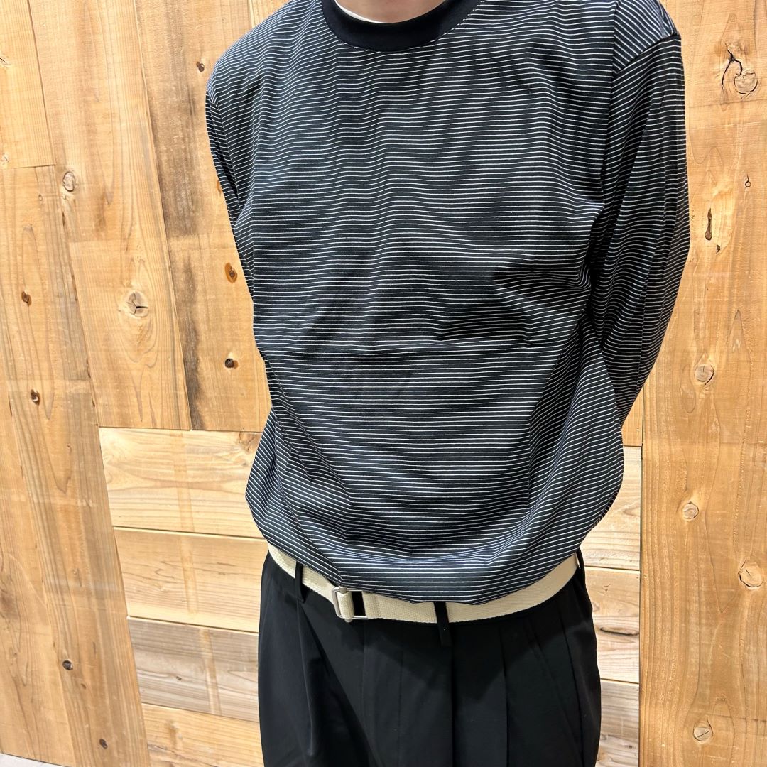 紳士