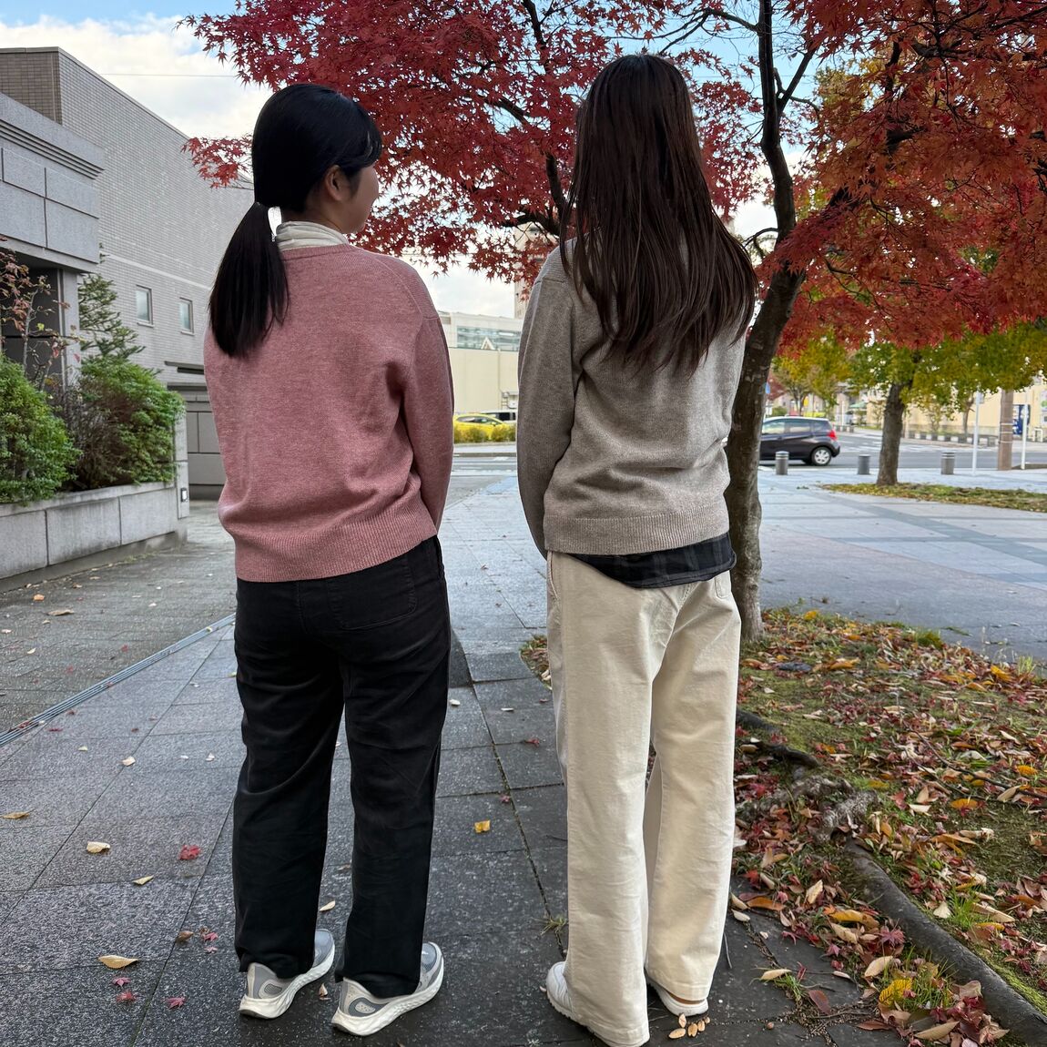 ウールミドルゲージクルーネックセーター