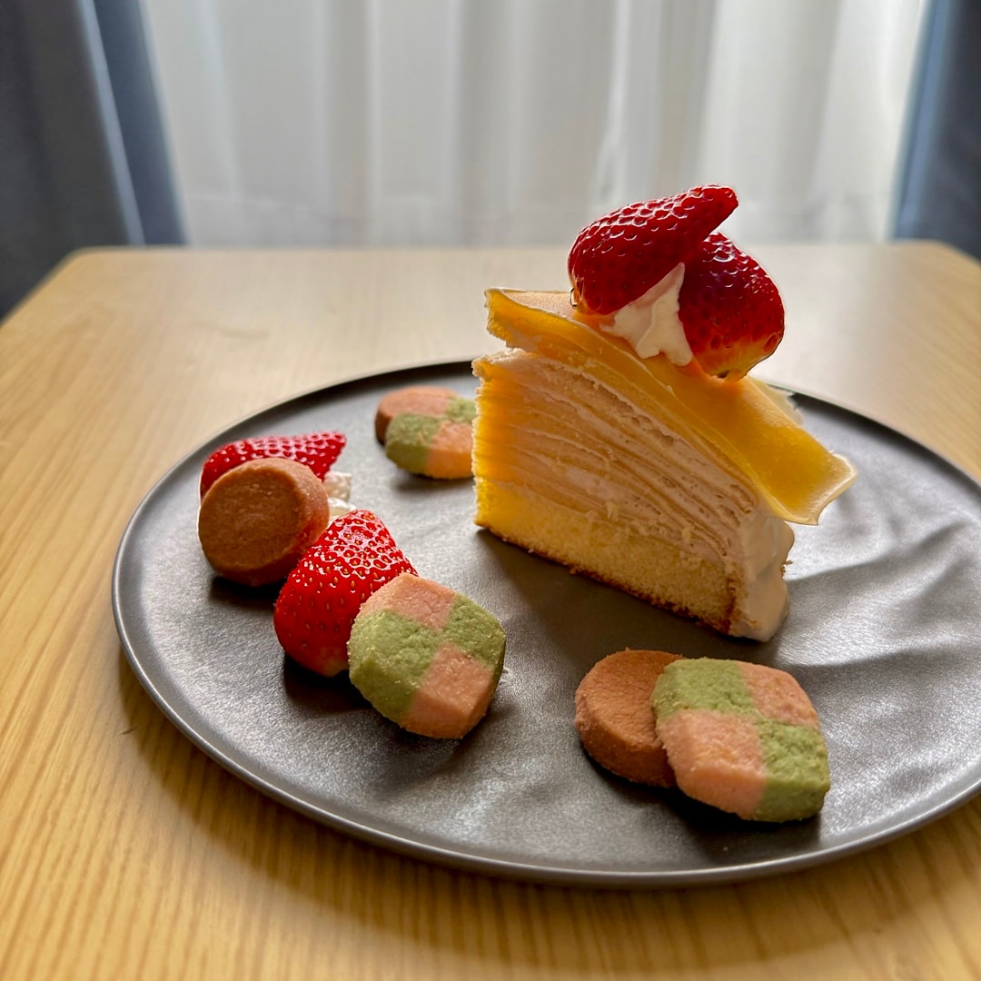 046670.2026.3.17.04s