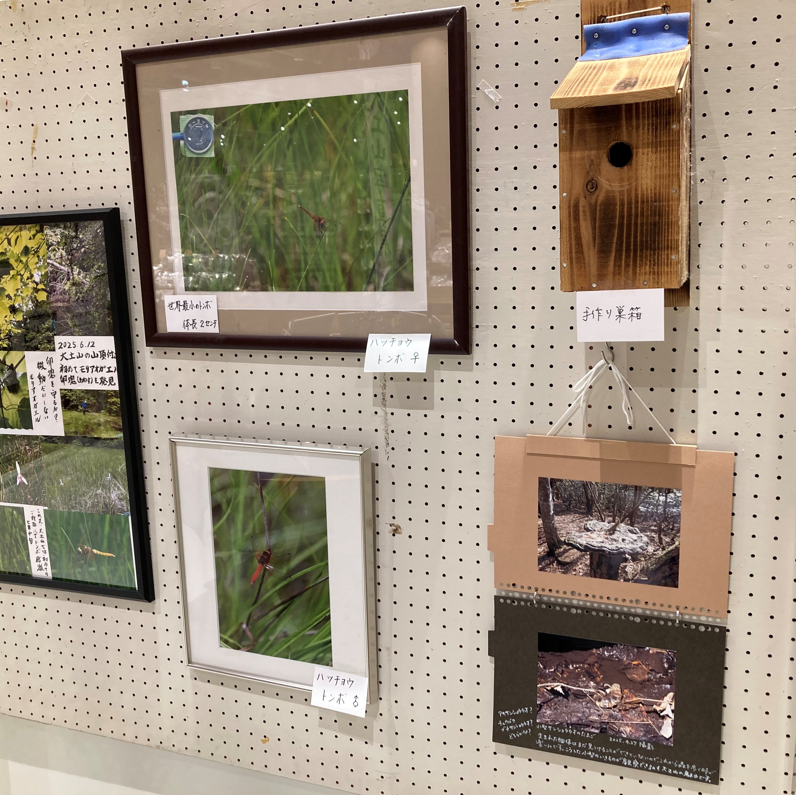 写真展2