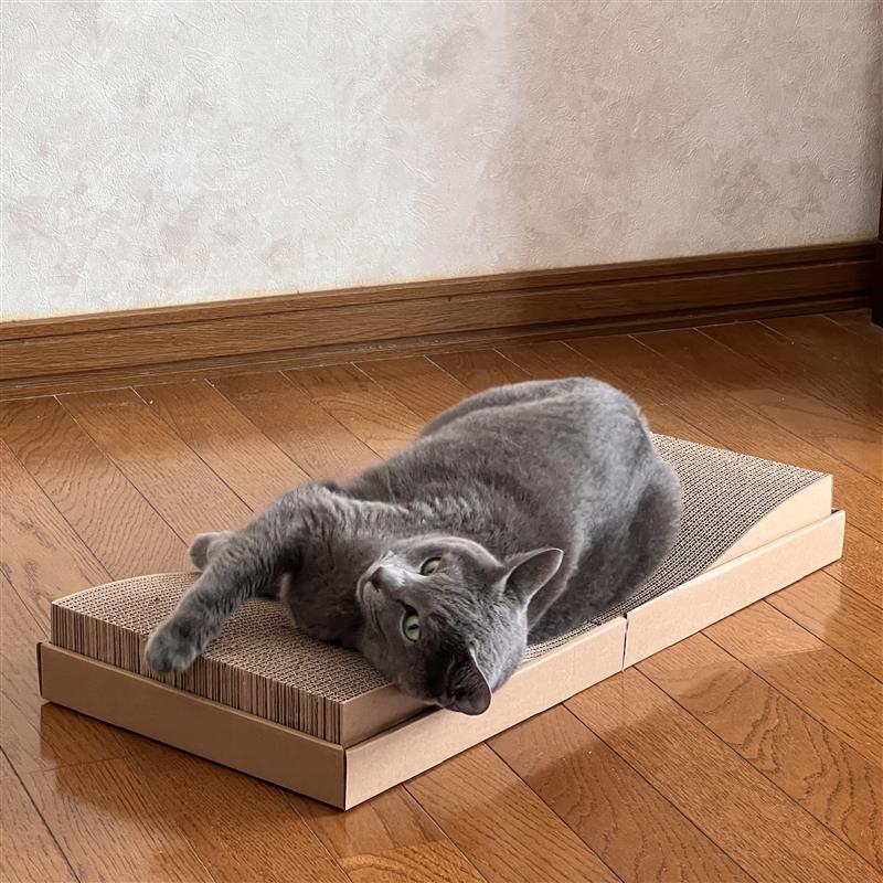 スナップ