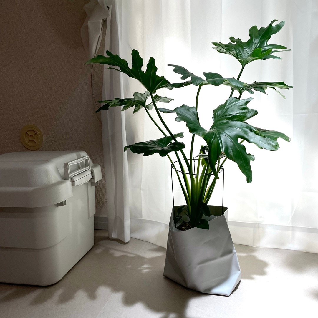 【キャナルシティ博多】植物とくらす_Djq8v4