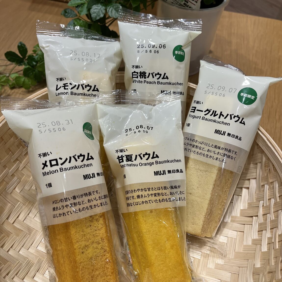 夏バウム５