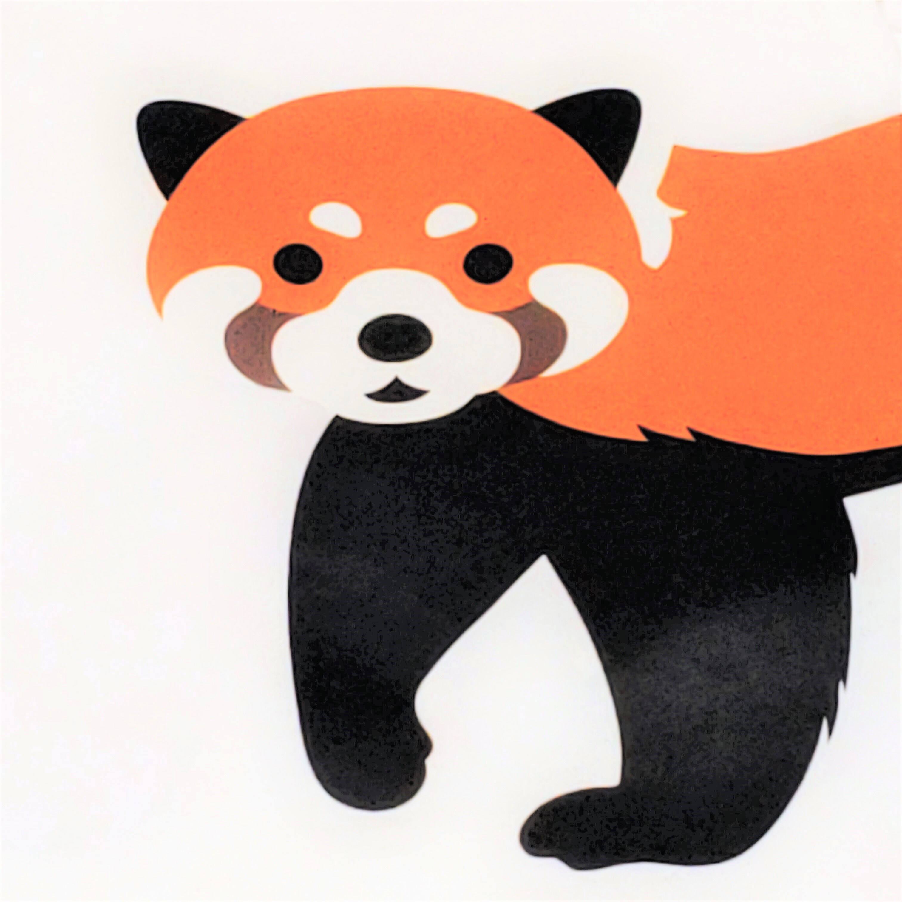 レッサーパンダ