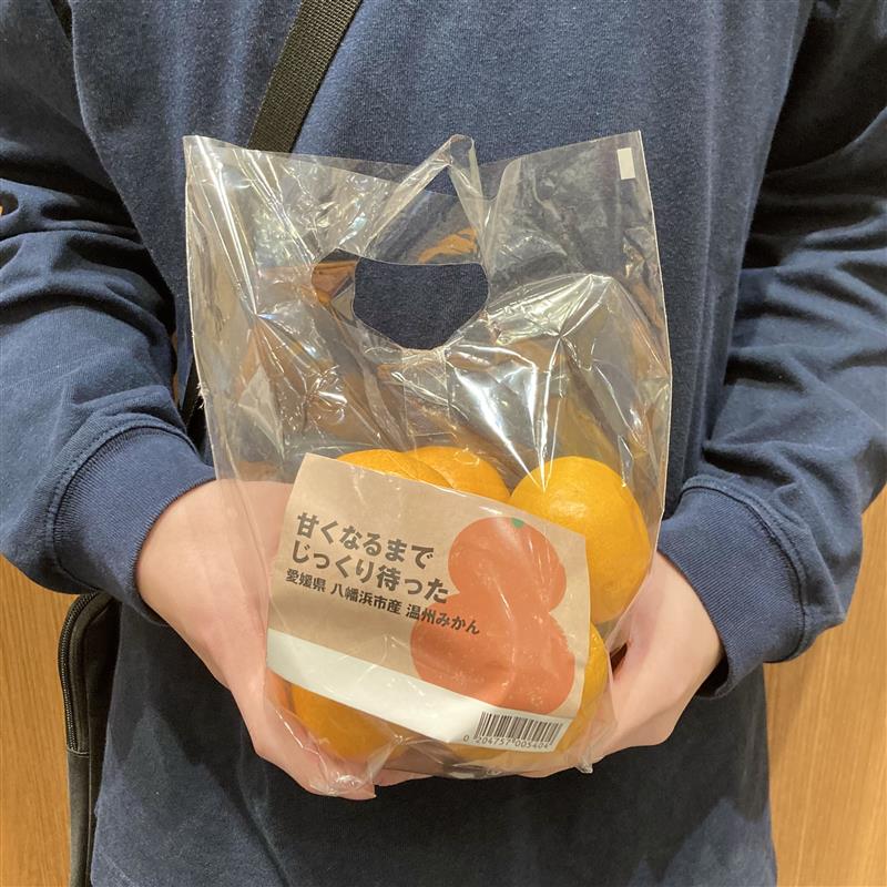 愛媛県　八幡浜市産　温州みかん