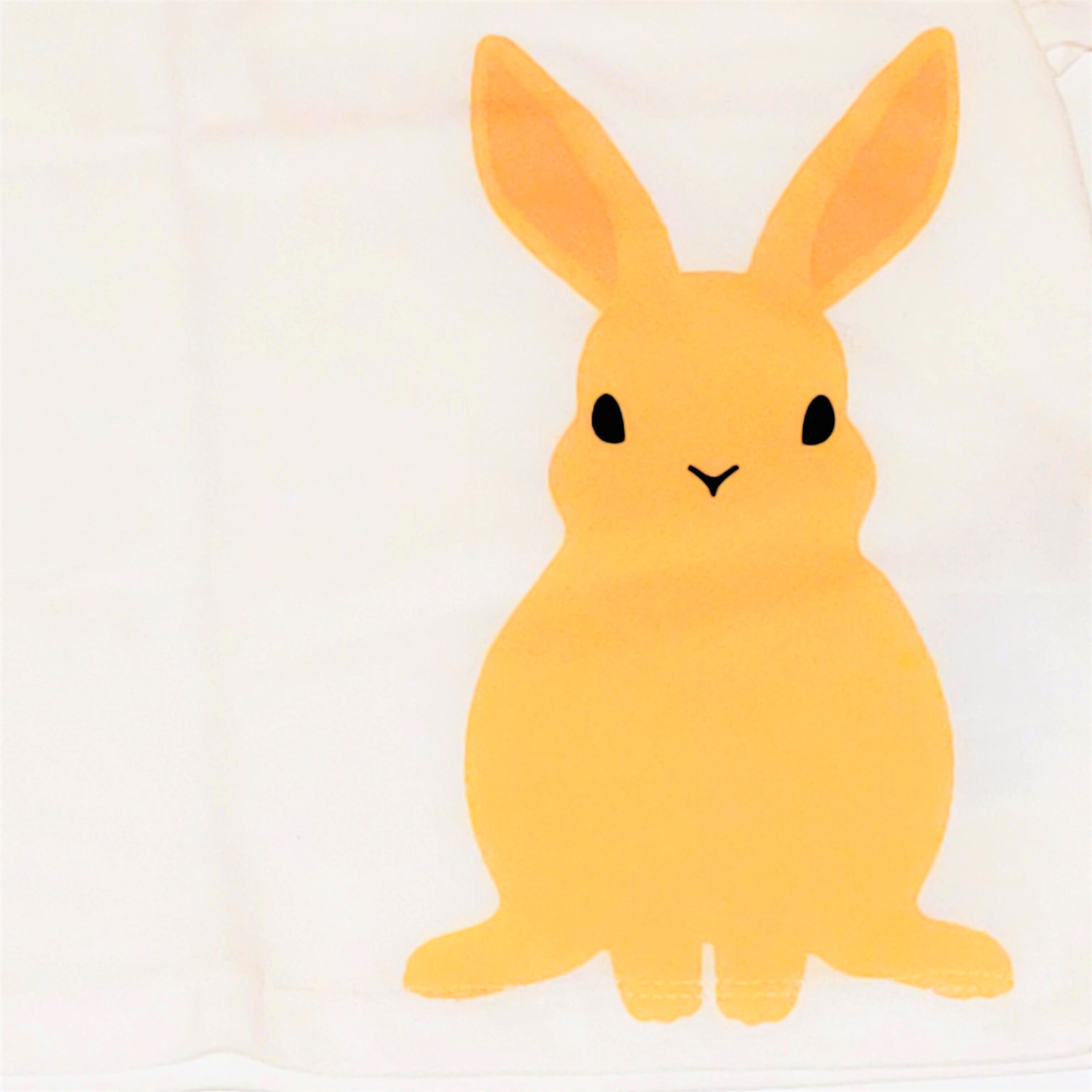 うさぎ