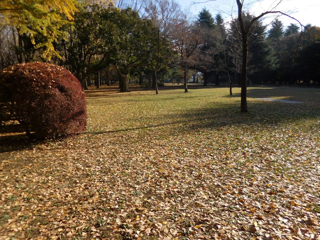 紅葉