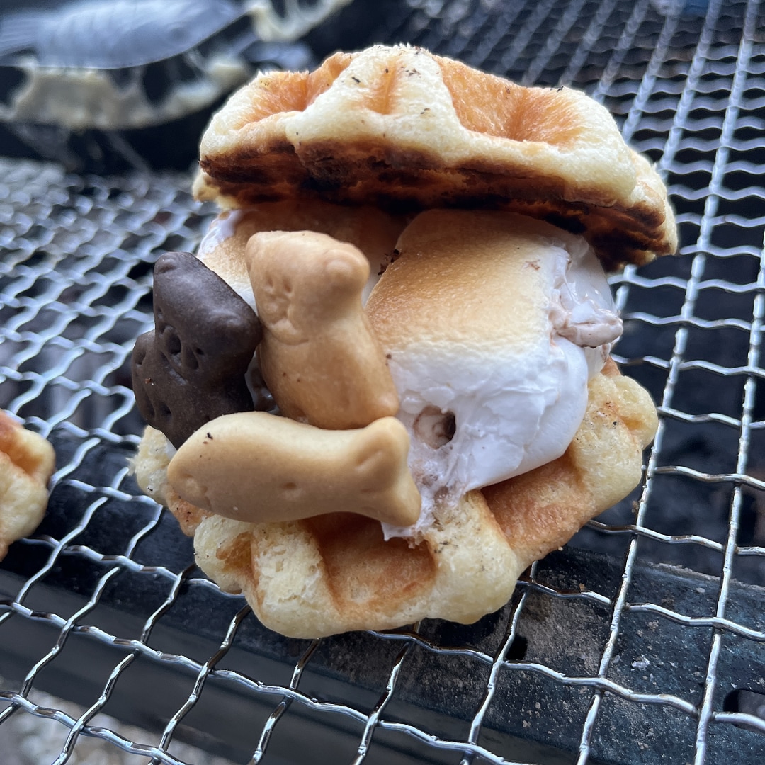 サンド