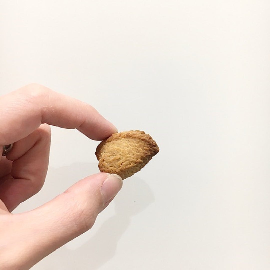 食品おたより