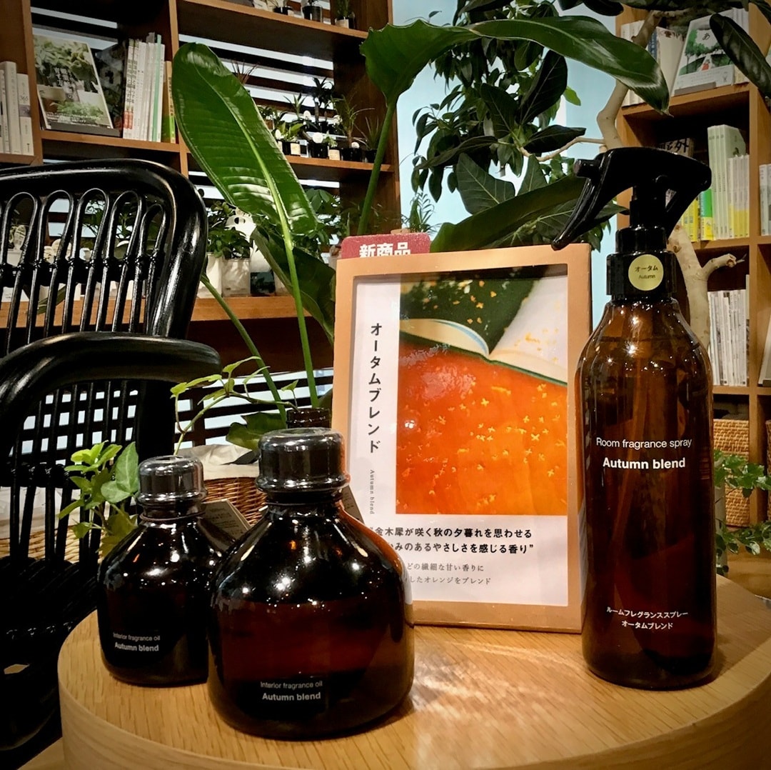 【COCOSA熊本下通】秋の気配_8im2Oc