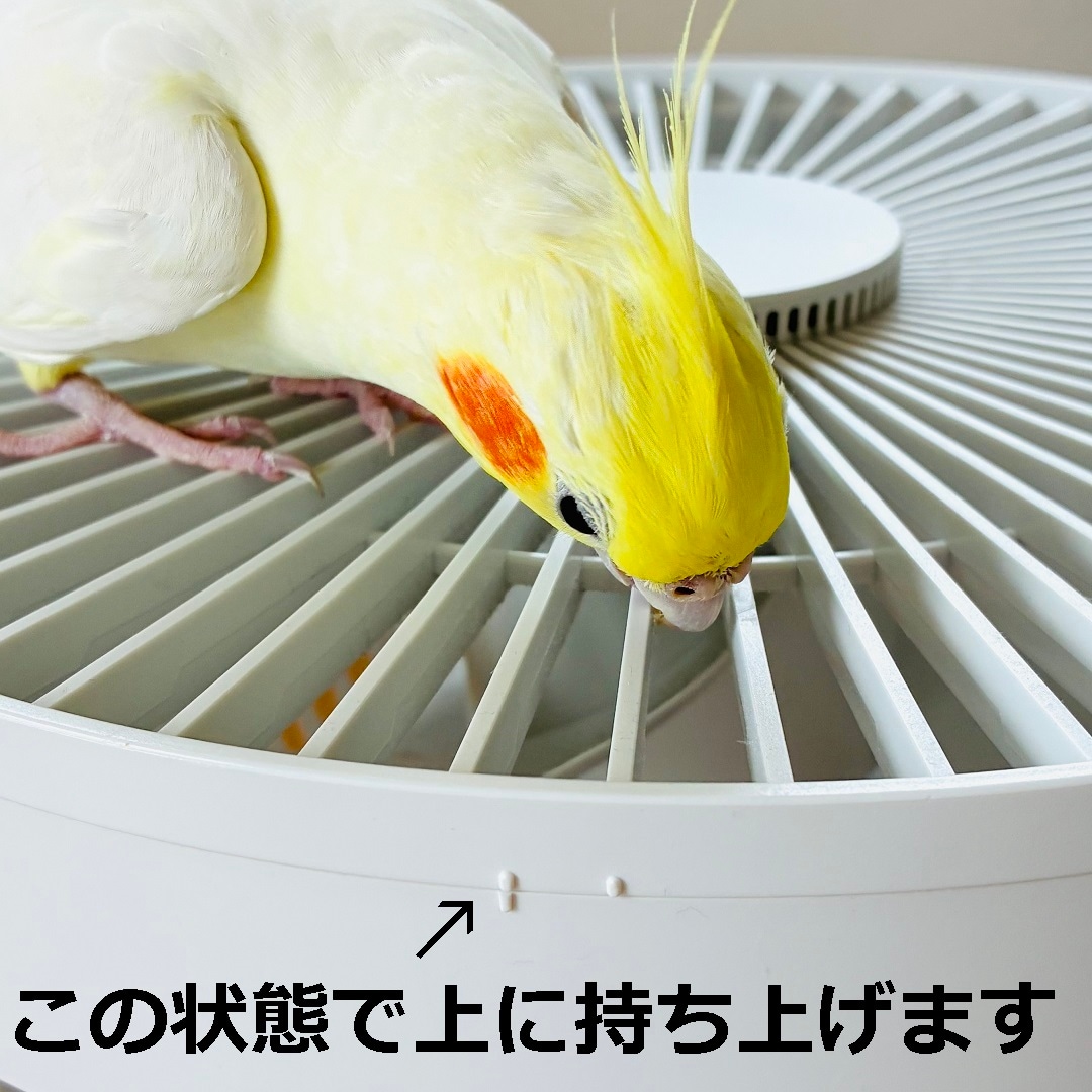 【静岡パルコ】フタの突起