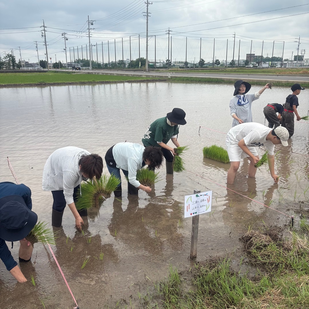 田んぼ実践