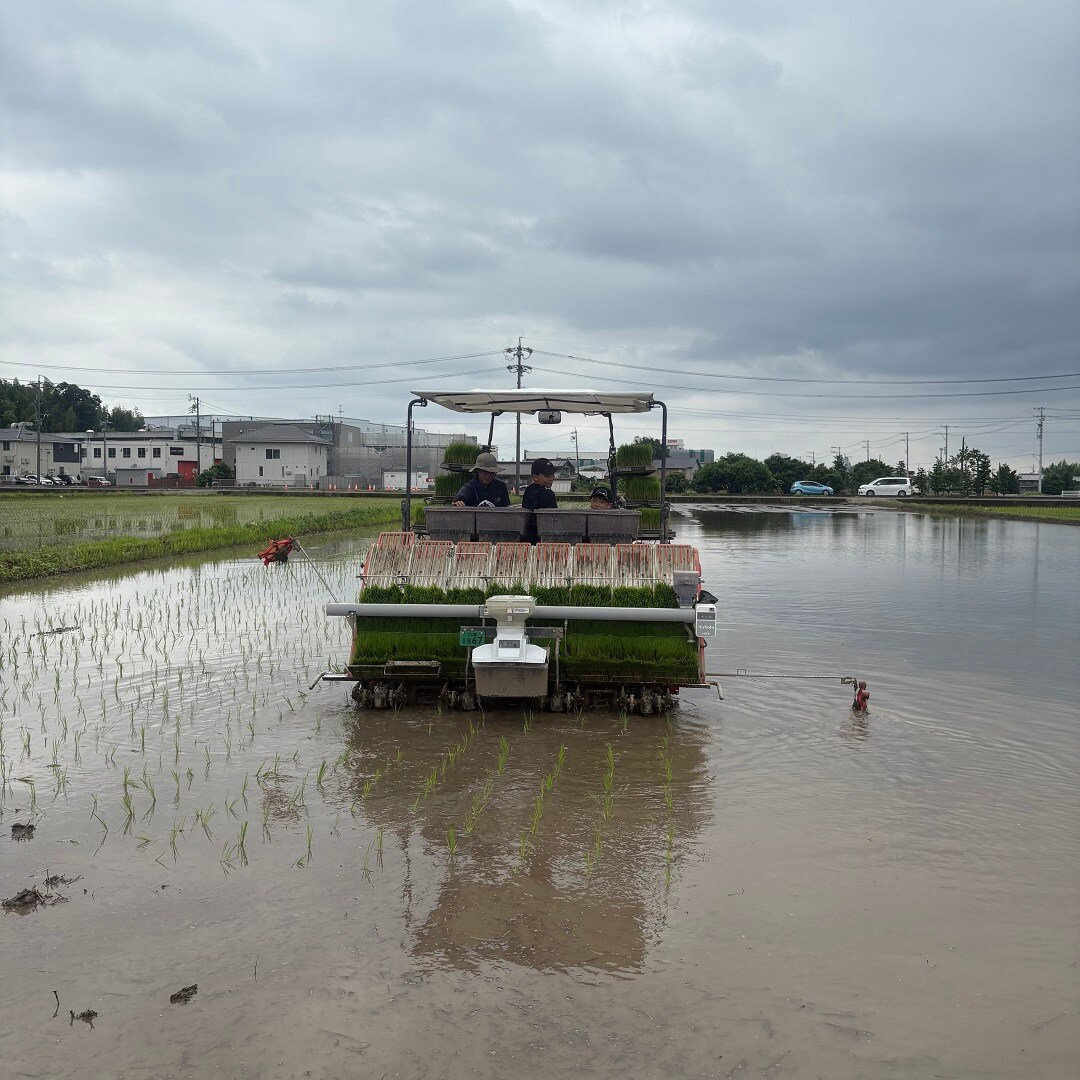 田んぼ田植え機