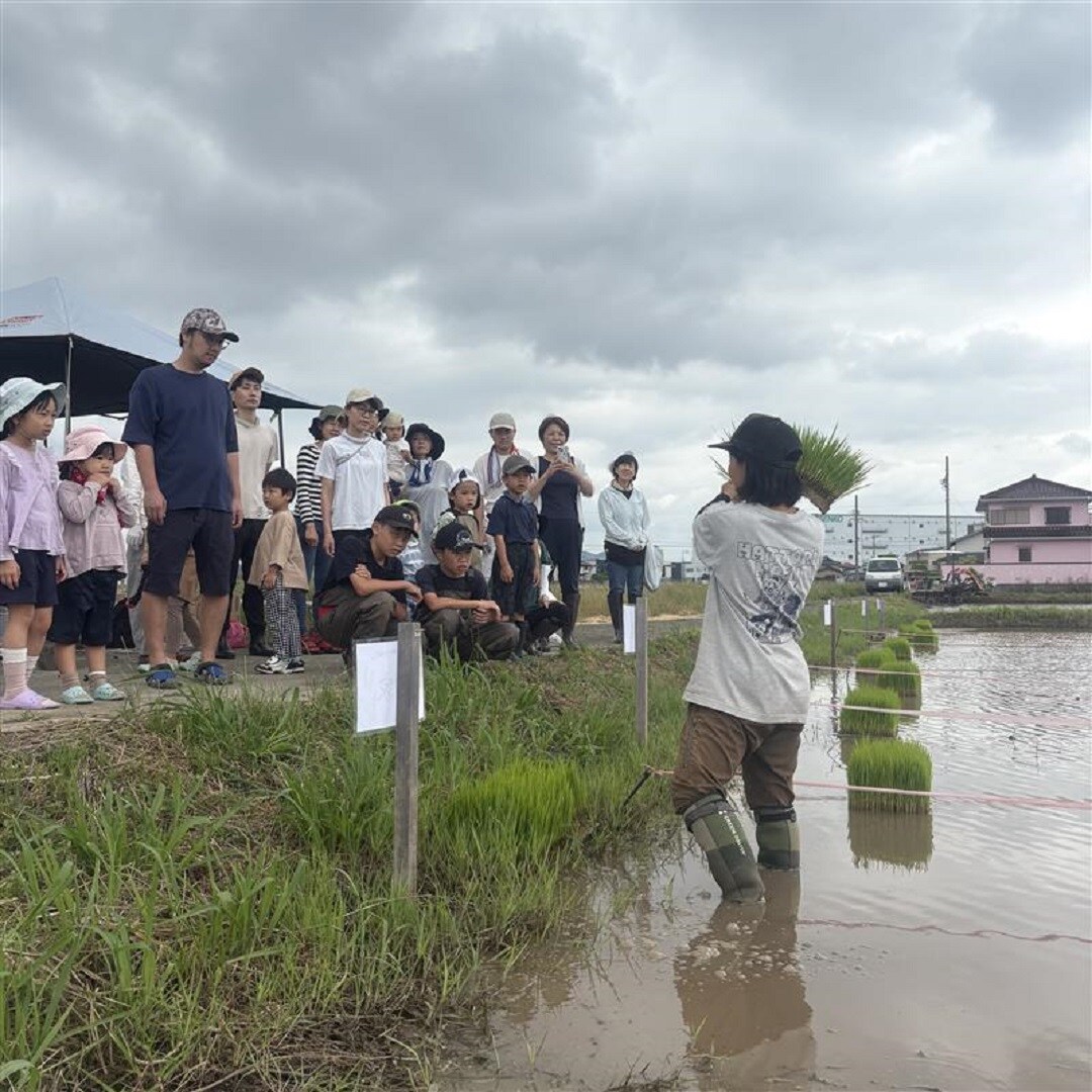 田植え説明