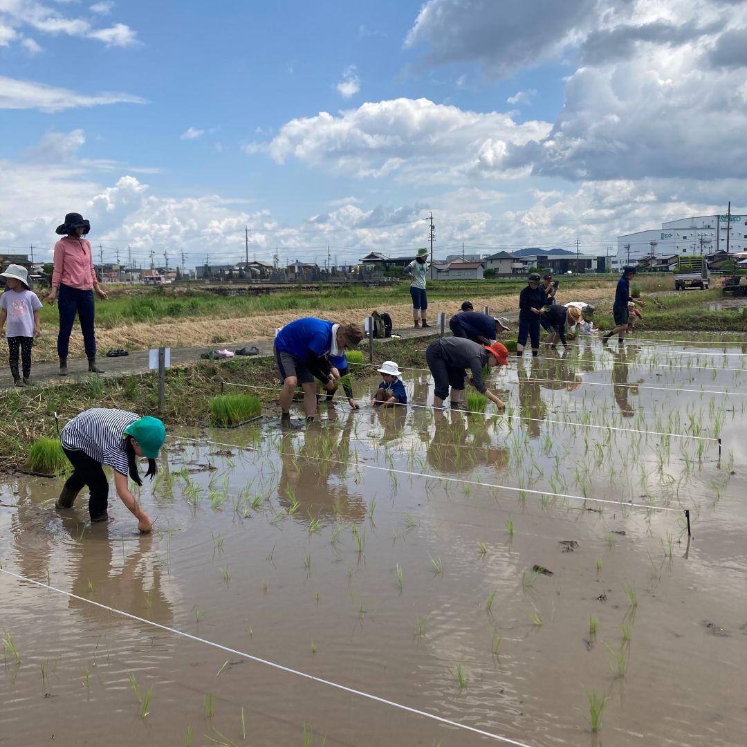 【ルビットパーク大口】田んぼの学校〜6月田植え〜_q9orNz