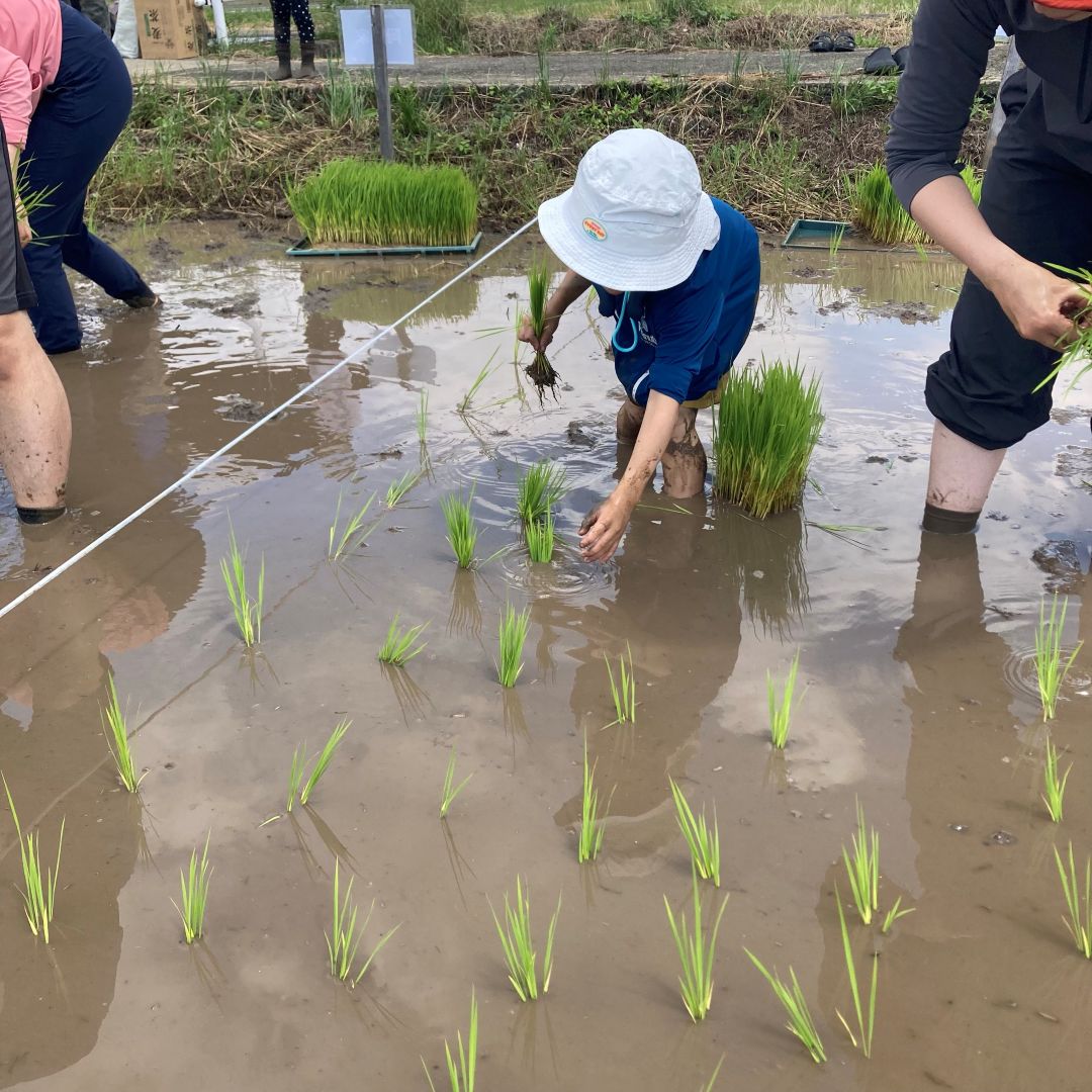 【ルビットパーク大口】田んぼの学校〜6月田植え〜_UX21Z9