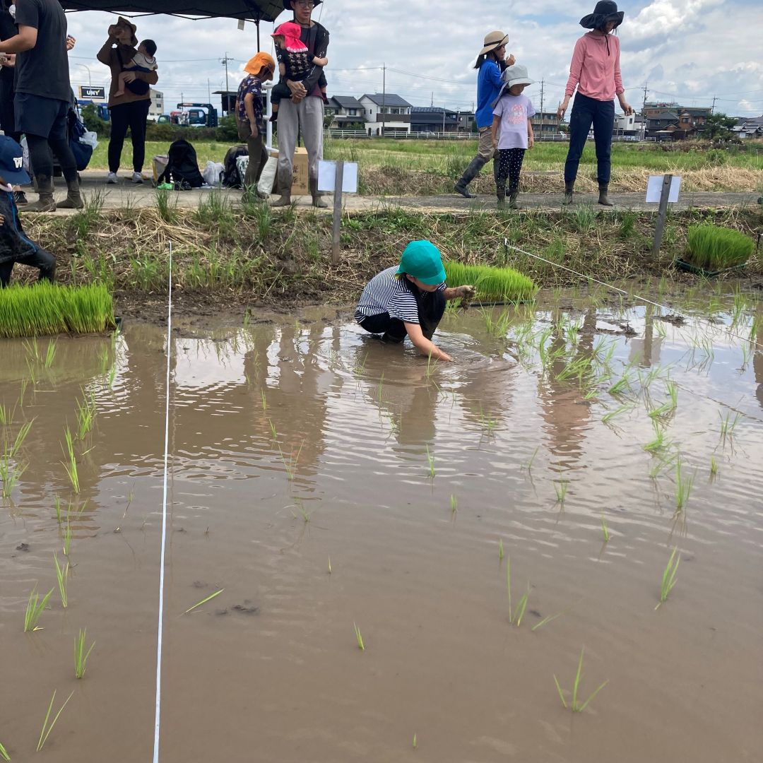 【ルビットパーク大口】田んぼの学校〜6月田植え〜_bI8Ug6
