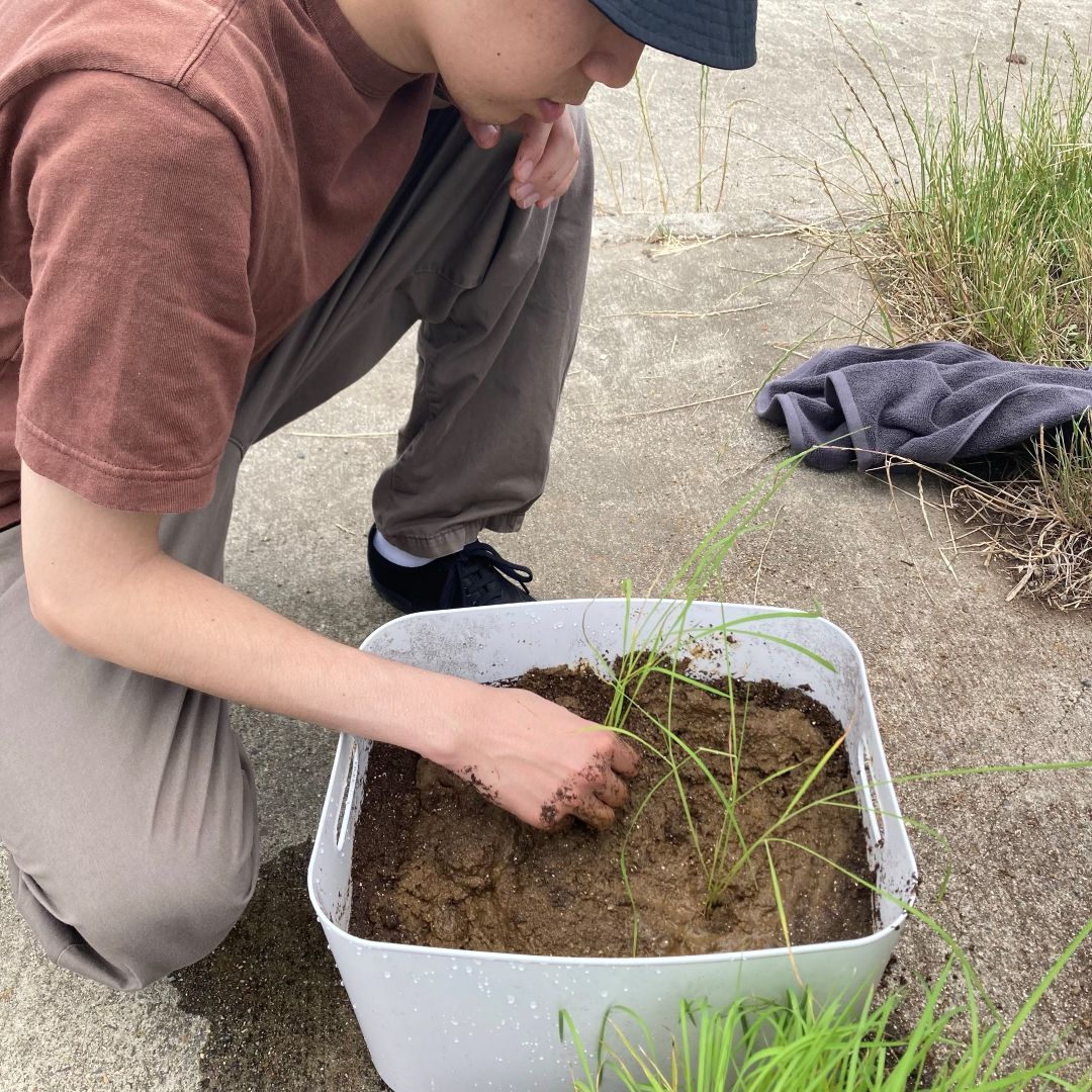 【ルビットパーク大口】田んぼの学校〜6月田植え〜_l1dCZ4