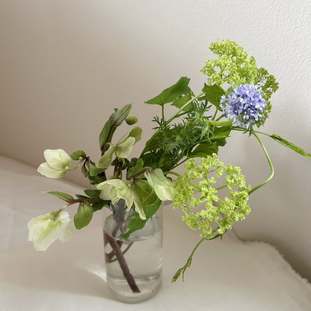 【京都山科】ガラスに飾る-フレッシュフラワーを涼やかに-｜イベントのお知らせ