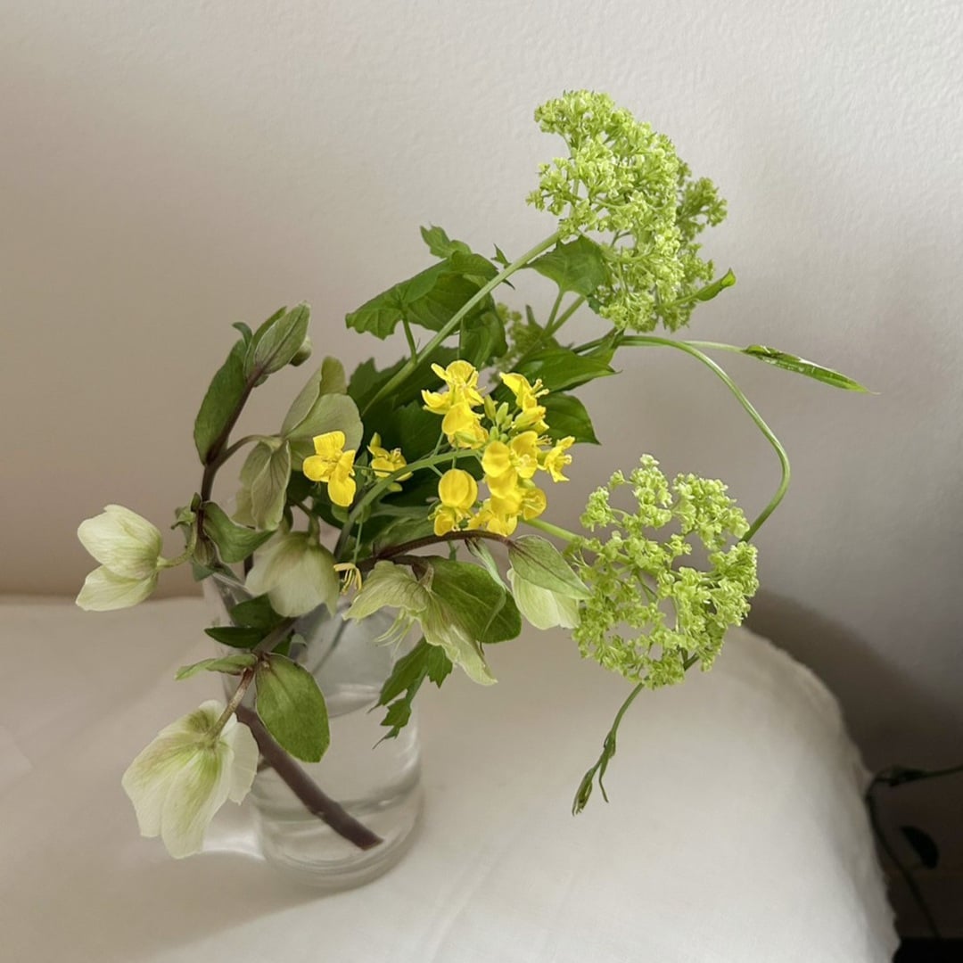 【京都山科】ガラスに飾る-フレッシュフラワーを涼やかに-｜イベントのお知らせ