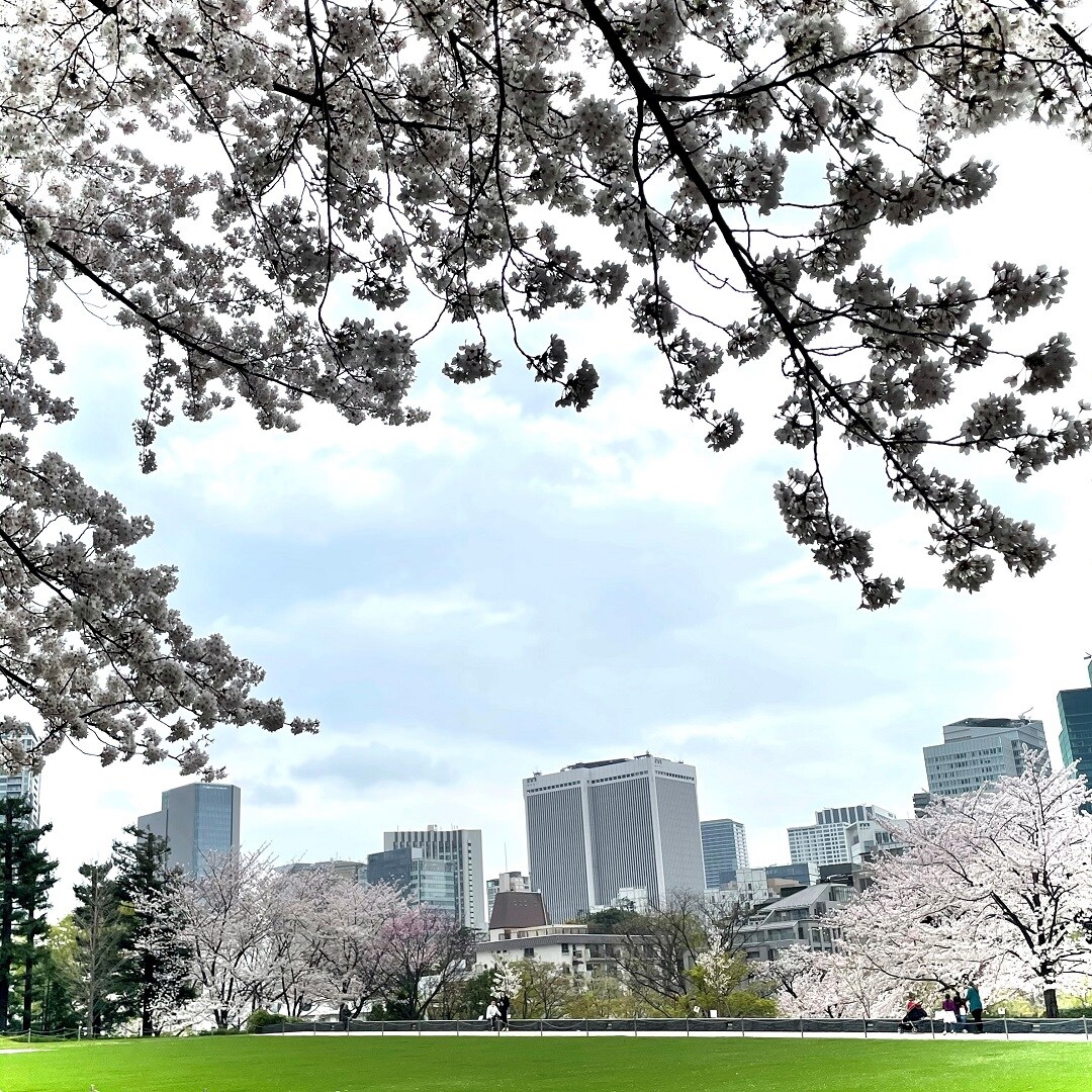 045419_20210405_01_06