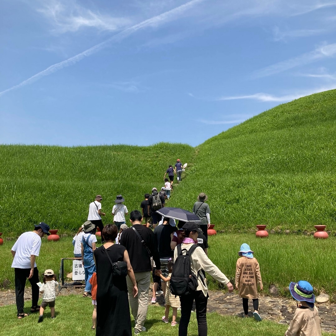 田んぼ7月-7